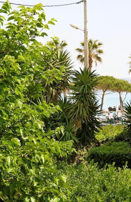 Blue Summer Vibes Duplex Studio For 4P, Ac, Sea View, Parking, Beach At 50M, Spa Access -3 La Ciotat Exterior photo